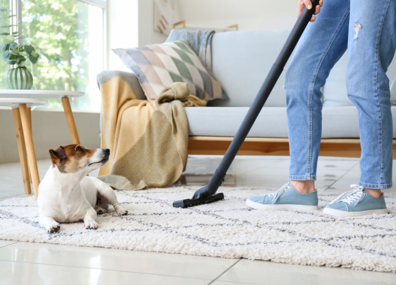 Transform Your Home This Year: An Essential Guide
