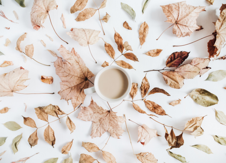 A Comprehensive Guide to Holiday Decoration Schedules