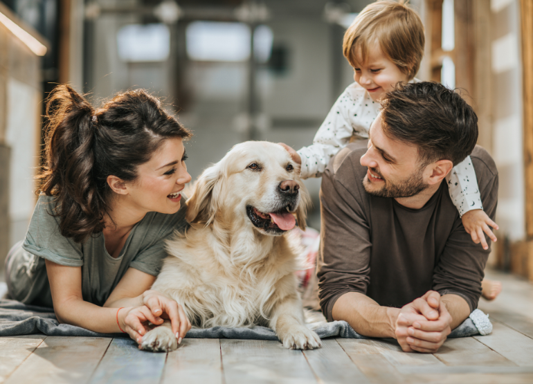 Welcoming a Rescue Dog into Your Home: Tricks to Make Them Comfortable