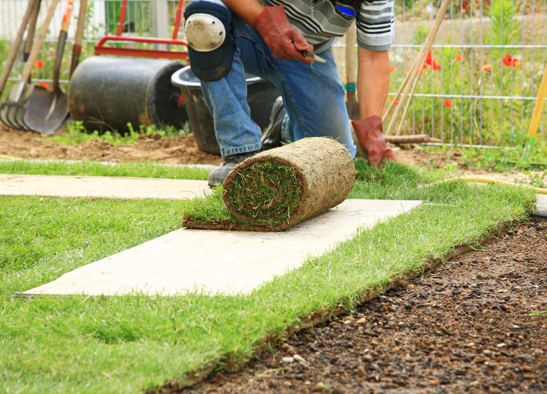 Innovative Grass Alternatives for Your Yard