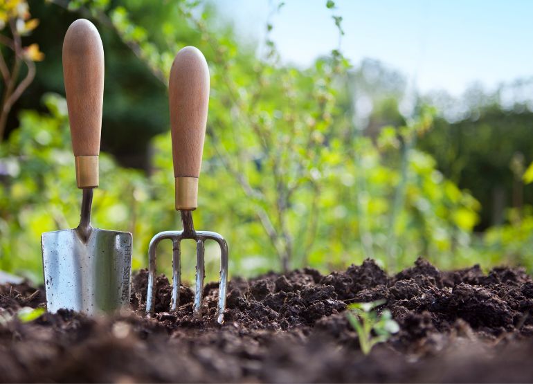 Harnessing Horticultural Prowess: Gardening Insights