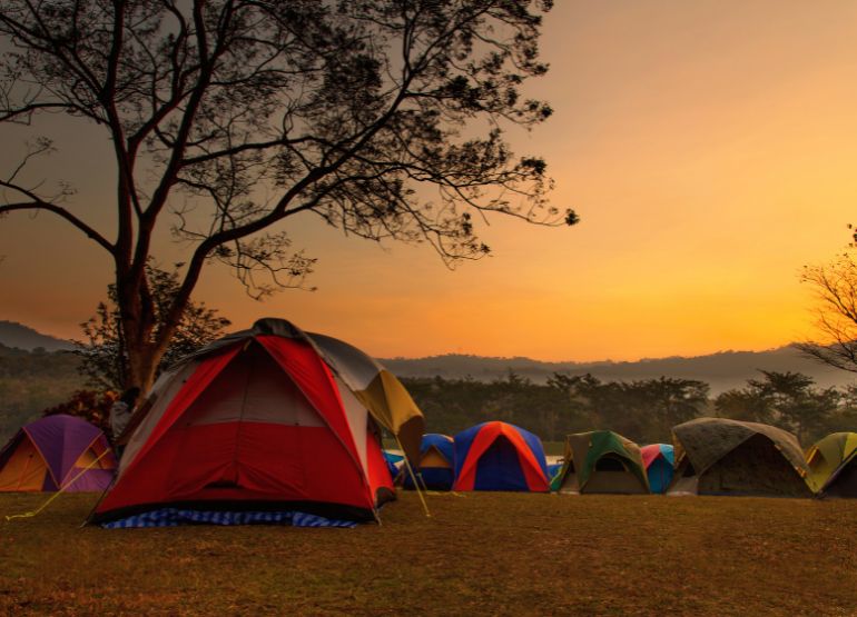 Essential Camping Tips for Your Summer Adventures